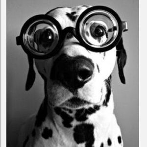 Meet your Posher, Hillary